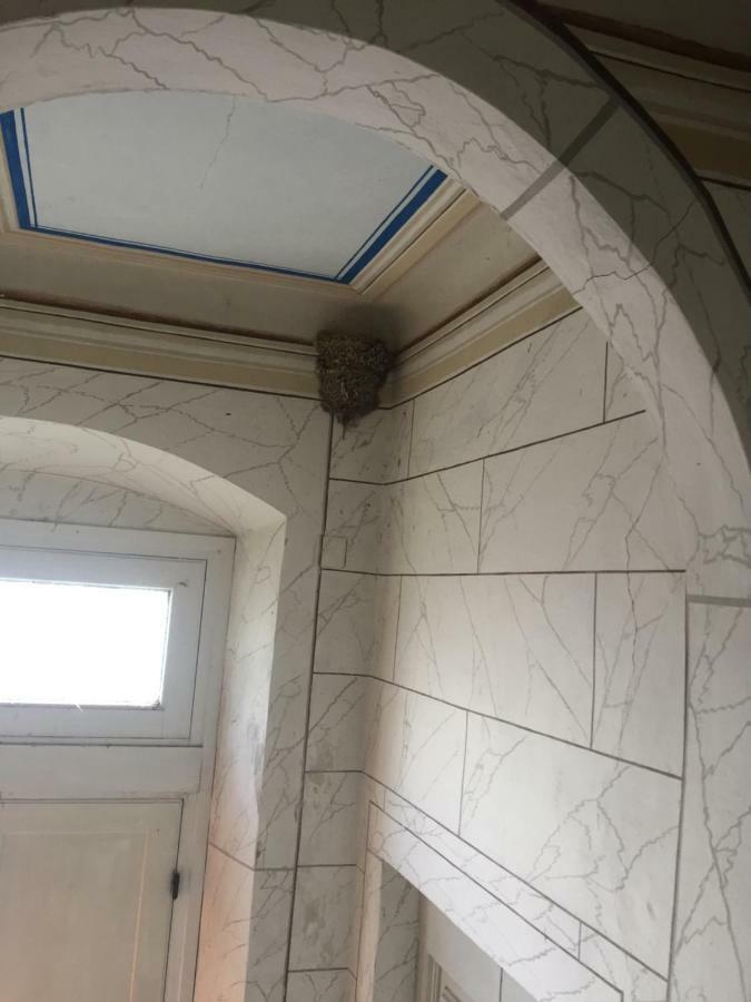 ليفورنو Villa Eugenia المظهر الخارجي الصورة
